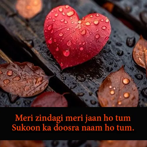 Romantic 2 Line Love Shayari in English