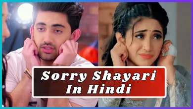 Sorry Shayari